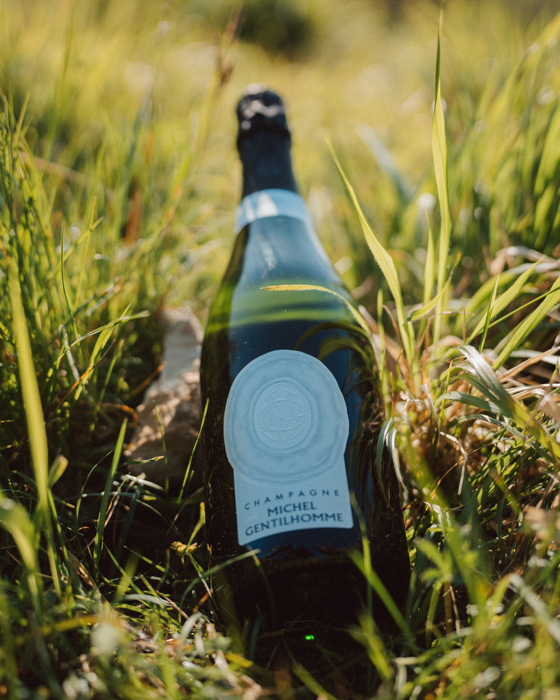 Étiquette de la Réserve en gros plan, bouteille couchée dans les herbes