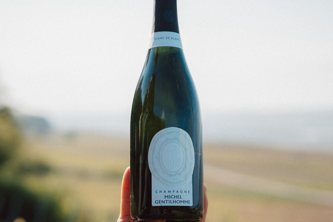 Bouteille de Blanc de Blancs tenue face au vignoble