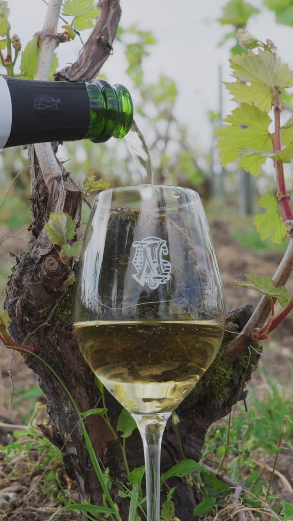 Le Blanc de Blancs servi dans un verre au monogramme de la Maison, au milieu des vignes